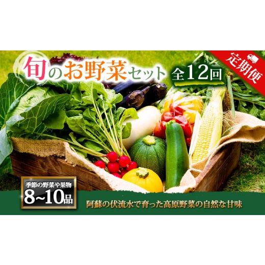 ふるさと納税 セット・詰合せ 熊本県 阿蘇市 定期便 全12回 畑から直送 季節のお野菜セット Lサイズ8〜10品をお届け 12回 定期便 野菜 新鮮 野菜セット 定期…
