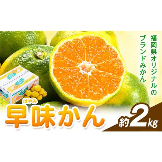 ふるさと納税 果物類 みかん 福岡県 鞍手町 みかん 早味かん 約2kg 南国フルーツ株式会社 26年度出荷 [9月中旬-9月下旬頃出荷]福岡県 鞍手町 福岡県産 みか…