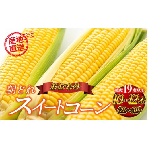 ふるさと納税 とうもろこし 島根県 邑南町 先行予約 糖度19度以上朝どれスイートコーン「おおもの」10〜12本(2L〜3L)7月中旬より順次発送