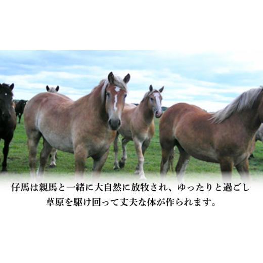 ふるさと納税 馬肉 熊本県 菊陽町  全12回定期便 フジチク 国産馬刺し と ユッケのセット 計約310g ／ 馬肉 馬刺し 赤身 ばさし バサシ馬刺し 馬刺 赤身 馬刺 …の画像