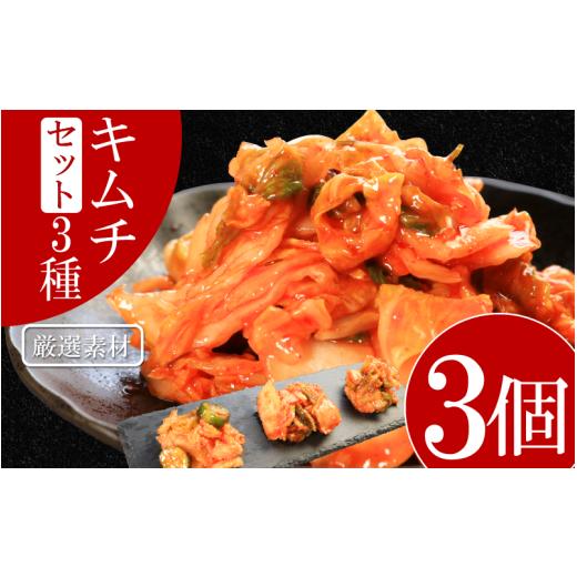 ふるさと納税 加工品等 キムチ 徳島県 吉野川市 キムチ 3種 セット 各1個ずつ 計3個 本格キムチ カッパキムチ 白菜キムチ きゅうりキムチ ピリ辛 おつまみ 食…