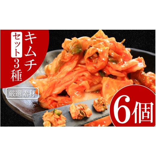 ふるさと納税 加工品等 キムチ 徳島県 吉野川市 キムチ 3種 セット 各2個ずつ 計6個 本格キムチ カッパキムチ 白菜キムチ きゅうりキムチ ピリ辛 おつまみ 食…