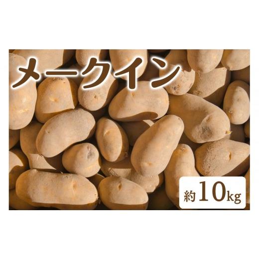 ふるさと納税 野菜類 じゃがいも 鳥取県 境港市 7月中旬〜9月中旬発送予定 じゃがいも メークイン(約10kg) | じゃがいも ジャガイモ ばれいしょ メークイン …