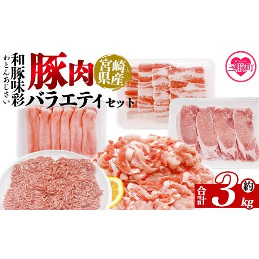 ふるさと納税 豚肉 セット 宮崎県 三股町 和豚味彩 豚肉バラエティ約3kgセット バラエティー 国産 ぶた お肉 ブタ 精肉 切り落し こま 小間切れ 豚コマ バラ…