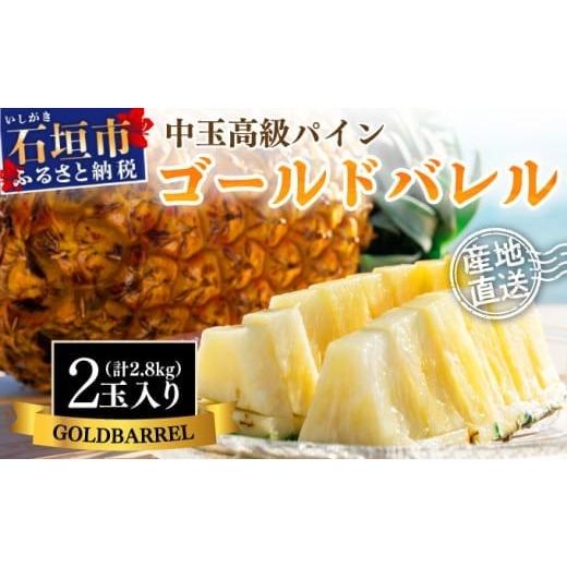 ふるさと納税 果物類 沖縄県 石垣市 先行予約 石垣島産 中玉ゴールドバレル 2玉 約2.8kg 2026年7月以降発送 | 産地直送 沖縄 石垣 フルーツ パイナップル パ…