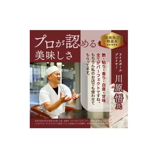 ふるさと納税 米 ゆめぴりか 北海道 東川町 令和8年産 新米 3ヵ月