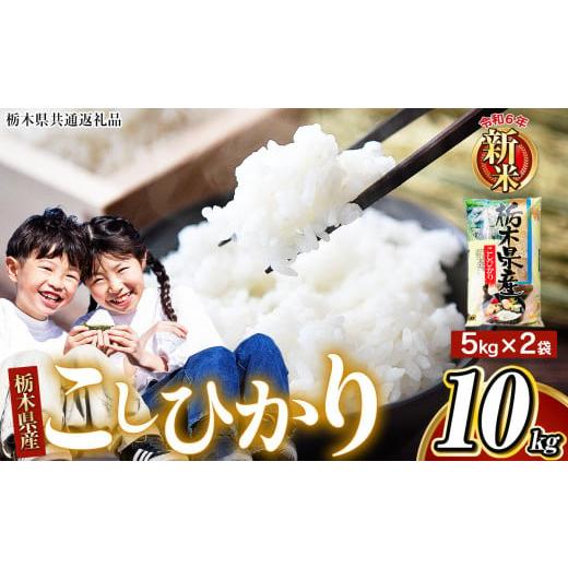 ふるさと納税 米 コシヒカリ 栃木県 那珂川町 栃木県共通返礼品 令和7年度産新米 栃木県産 こしひかり 白米 10kg (5kg×2袋) | 9月発送 ふるさと 納税 コ…
