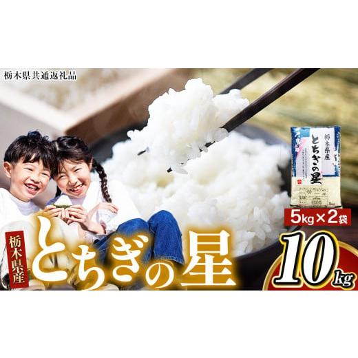 ふるさと納税 米 栃木県 那珂川町 栃木県共通返礼品 令和7年度産新米 栃木県産 とちぎの星 白米 5kg×2袋(合計10kg) | ふるさと 納税 新米 お弁当 お米 精…