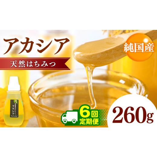ふるさと納税 加工品等 はちみつ 千葉県 君津市  定期便 6回 国産 アカシアはちみつ 260g×6回 | 養蜂家 齊藤兄弟 Bee concierge ビーコンシェルジュ はちみつ…の画像