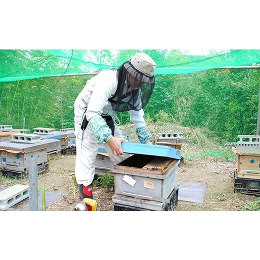 ふるさと納税 加工品等 はちみつ 千葉県 君津市  定期便 6回 国産 アカシアはちみつ 260g×6回 | 養蜂家 齊藤兄弟 Bee concierge ビーコンシェルジュ はちみつ…の画像
