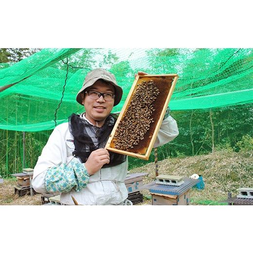ふるさと納税 加工品等 はちみつ 千葉県 君津市  定期便 6回 国産 アカシアはちみつ 260g×6回 | 養蜂家 齊藤兄弟 Bee concierge ビーコンシェルジュ はちみつ…の画像