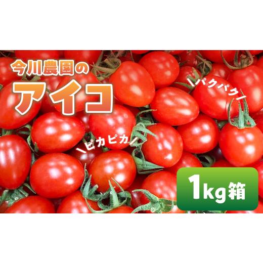 ふるさと納税 トマト ミニトマト 愛知県 田原市 ふるさと納税 先行予約 今川農園のミニトマト アイコ 1kg 先行予約受付 期間限定 季節限定 野菜 国産 完熟 や…