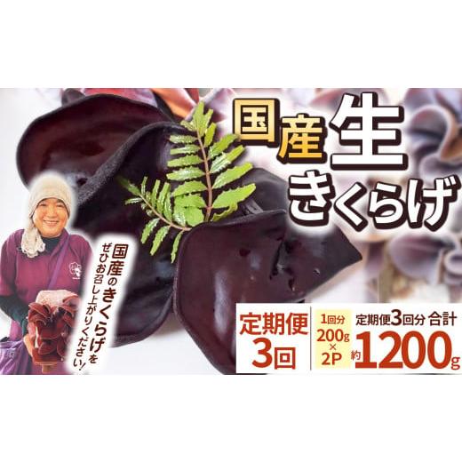 ふるさと納税 野菜類 きのこ 栃木県 那珂川町 期間限定 定期便3回 生きくらげ 200g×2P ともちゃん農園 |定期便 きくらげ 生きくらげ 食物繊維 鉄分 カルシウ…