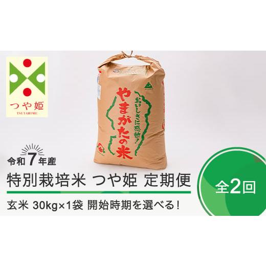ふるさと納税 米 つや姫 山形県 大石田町 米 令和7年産 玄米2回定期便 つや姫 30kg×2回 2026年4月・2026年7月発送 大石田町産 特別栽培米 玄米 沖縄・離島へ…