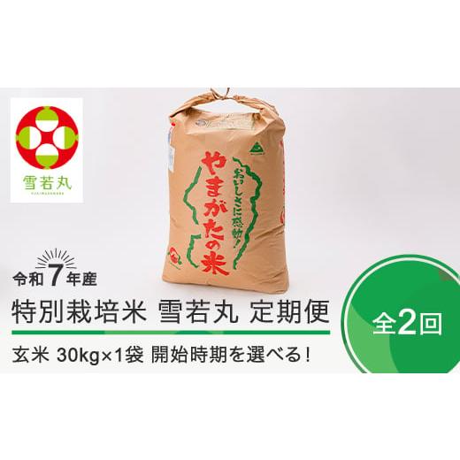 ふるさと納税 米 山形県 大石田町 新米 米 令和7年産 玄米2回定期便 雪若丸 30kg×2回 2026年1月・2026年4月発送 大石田町産 特別栽培米 玄米 沖縄・離島への…