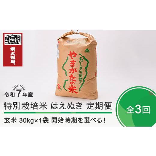 ふるさと納税 米 はえぬき 山形県 大石田町 新米 米 令和7年産 玄米3回定期便 はえぬき 30kg×3回 2026年1月・2026年4月・2026年7月発送 大石田町産 特別栽培…