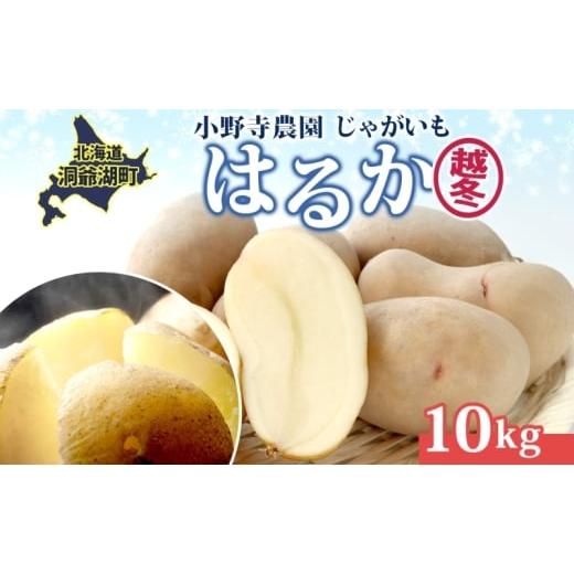 ふるさと納税 野菜類 じゃがいも 北海道 洞爺湖町 じゃがいも 越冬はるか 10kg 2026年1月中旬〜3月下旬ごろお届け しっとり 甘い ロースト じゃがバター 産地…
