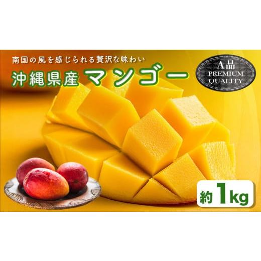 ふるさと納税 マンゴー 沖縄県 うるま市 ハナトフルーツ 沖縄県産マンゴーA品 1kg 先行予約 2026年発送