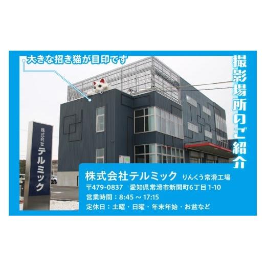 ふるさと納税 雑貨・日用品 玩具 愛知県 常滑市  寄附前に来社が必要な返礼品となります 思い出をカタチに リアル3Dフィギュア作成 Lサイズ 1人分×1体の画像