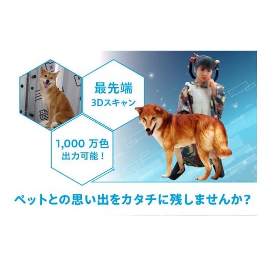 ふるさと納税 雑貨・日用品 玩具 愛知県 常滑市  寄附前に来社が必要な返礼品となります ペットとの思い出をカタチに リアル3Dフィギュア作成 Mサイズ 1人＋…の画像