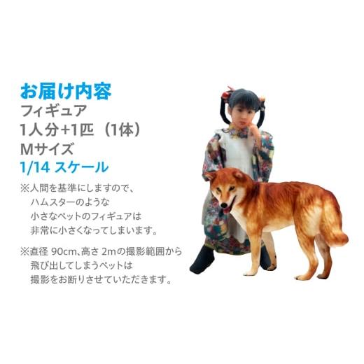 ふるさと納税 雑貨・日用品 玩具 愛知県 常滑市  寄附前に来社が必要な返礼品となります ペットとの思い出をカタチに リアル3Dフィギュア作成 Mサイズ 1人＋…の画像
