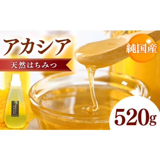 ふるさと納税 加工品等 はちみつ 千葉県 君津市 国産 アカシアはちみつ 520g | 養蜂家 齊藤兄弟 Bee concierge ビーコンシェルジュ はちみつ 蜂蜜 ハチミツ 国…