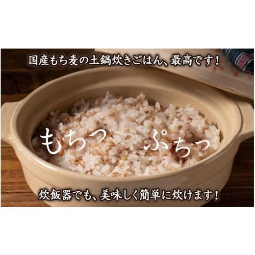 ふるさと納税 雑穀 静岡県 静岡市 もち麦 8kg(400g×20袋) |  | 02