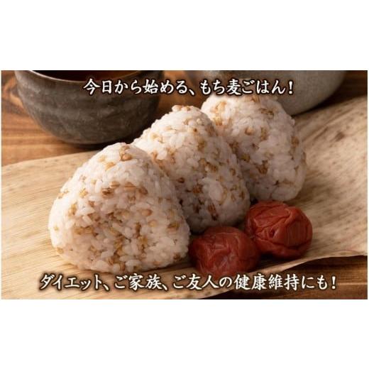 ふるさと納税 雑穀 静岡県 静岡市 もち麦 8kg(400g×20袋) |  | 03