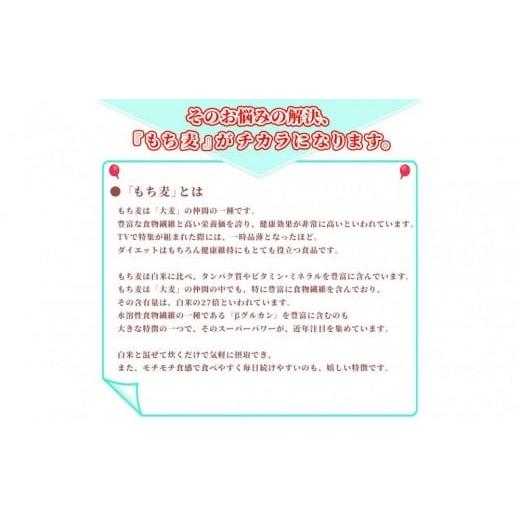 ふるさと納税 雑穀 静岡県 静岡市 もち麦 8kg(400g×20袋) |  | 05