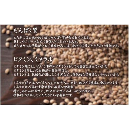 ふるさと納税 雑穀 静岡県 静岡市 もち麦 8kg(400g×20袋) |  | 07