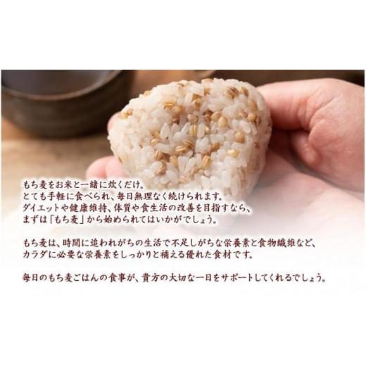 ふるさと納税 雑穀 静岡県 静岡市 もち麦 8kg(400g×20袋) |  | 08