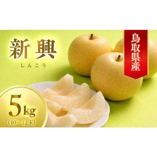 ふるさと納税 梨 鳥取県 三朝町 先行予約 数量限定 鳥取県産梨 新興(しんこう) 5kg(10〜12玉)|鳥取 梨 なし 新興 しんこう 期間限定 送料無料 鳥取県 三…