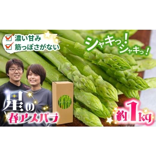 ふるさと納税 野菜類 アスパラガス 長崎県 南島原市 2026年3月〜発送 数量限定 甘い 柔らかい 星のアスパラ 厳選 グリーン アスパラガス 1kg / アスパラ あ…