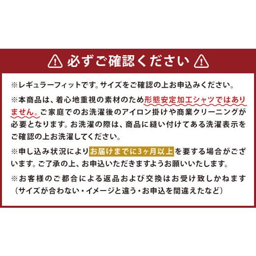 ふるさと納税 服 男 熊本県 人吉市 HITOYOSHI シャツ 定番 5枚 セット (41-84) 41-84の画像
