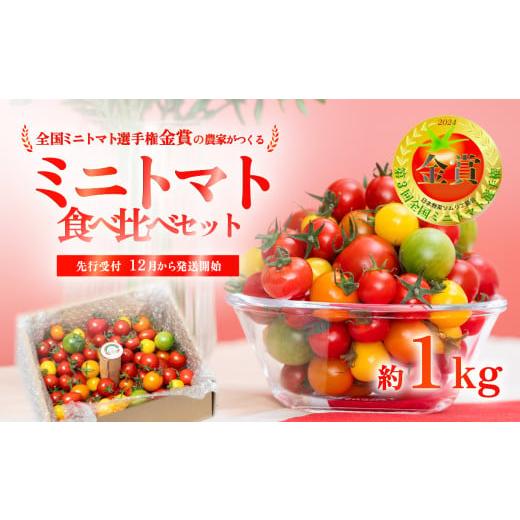 ふるさと納税 トマト ミニトマト 茨城県 下妻市 先行受付 ミニトマト 食べ比べセット 1kg ミニトマト 選手権 「 金賞 」 農家がつくる 10種以上 国産 旬 フル…