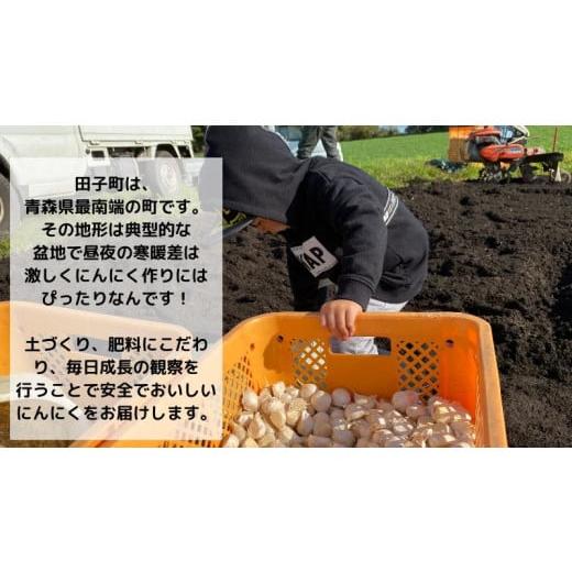 ふるさと納税 野菜類 薬味 青森県 田子町 生にんにく田子町産 (なま) L＆2L size『3kg』_5
