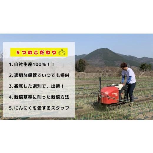 ふるさと納税 野菜類 薬味 青森県 田子町 生にんにく田子町産 (なま) L＆2L size『3kg』_6