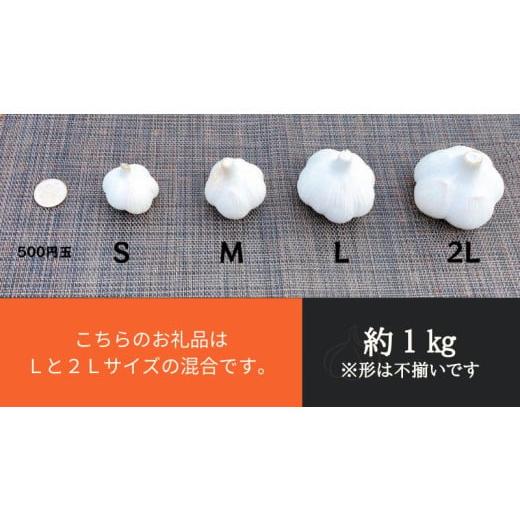 ふるさと納税 野菜類 薬味 青森県 田子町 生にんにく田子町産 (なま) L＆2L size『3kg』_7