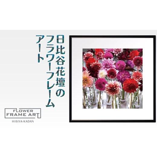 ふるさと納税 雑貨・日用品 絵画 千葉県 白井市 日比谷花壇のフラワーフレームアート Metropolitan Dahlias(メトロポリタンのダリア) ソフケン アルミフレー…