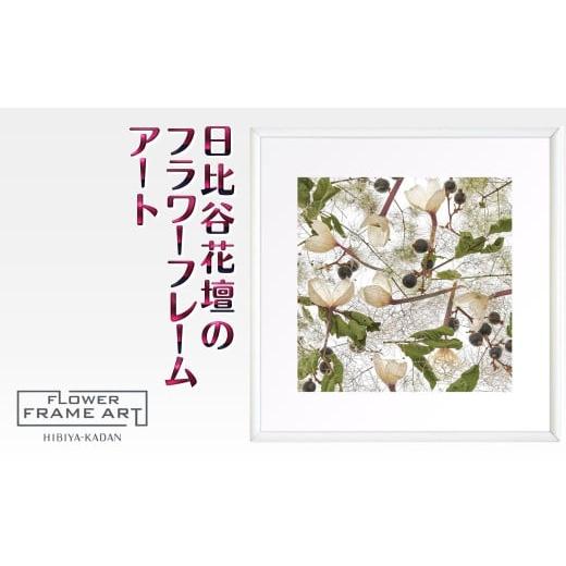 ふるさと納税 雑貨・日用品 絵画 千葉県 白井市 日比谷花壇のフラワーフレームアート Timeless Whispers(永遠のささやき) ソフケン アルミフレーム 25x25cm …