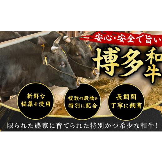 ふるさと納税 牛肉 ヒレ 福岡県 広川町  5回定期便 博多和牛シャトーブリアン 200g×4枚 広川町 ／ 久田精肉店株式会社 AFBV094_5