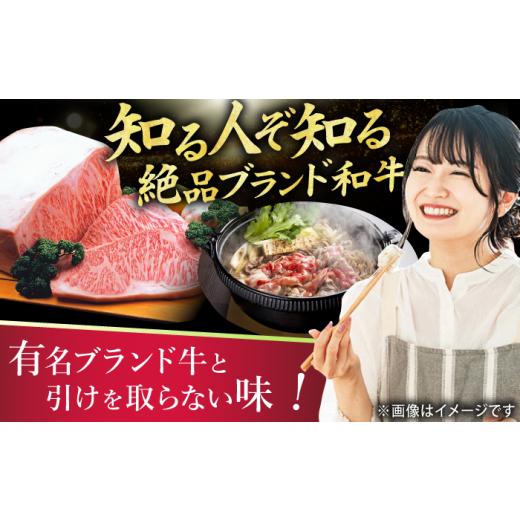 ふるさと納税 牛肉 ヒレ 福岡県 広川町  5回定期便 博多和牛シャトーブリアン 200g×4枚 広川町 ／ 久田精肉店株式会社 AFBV094_6