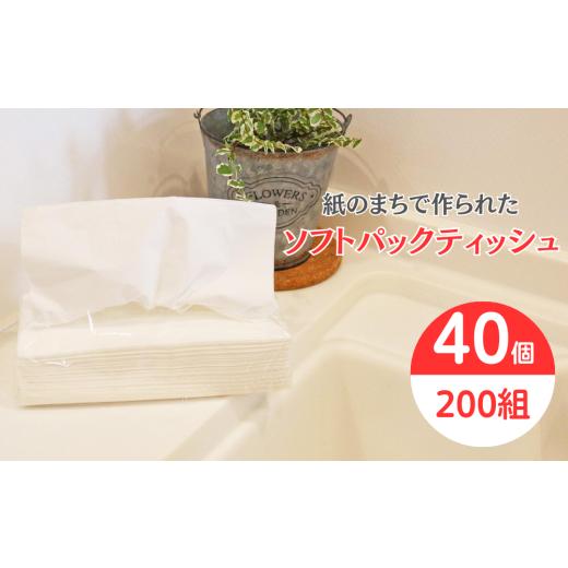 ふるさと納税 雑貨・日用品 愛媛県 四国中央市 ティッシュペーパー ティッシュ イットコ 詰め替えティッシュ ソフトパック 400枚 200組 再生紙 100% エコ 無地…
