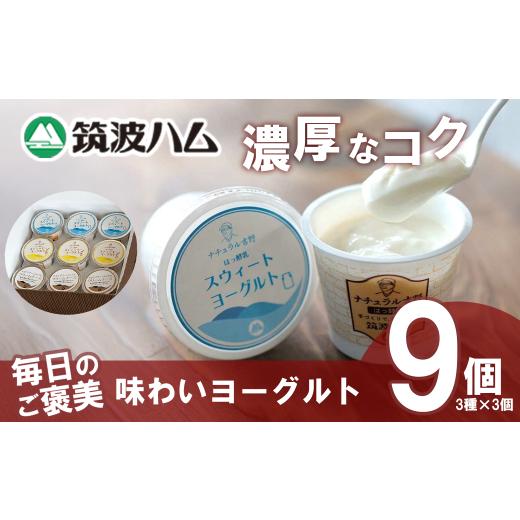 ふるさと納税 菓子 ヨーグルト 茨城県 つくば市 毎日のご褒美 味わい ヨーグルト ギフトセット │ 筑波ハム ヨーグルト クリームチーズ チーズ 贈答 国産 茨城…