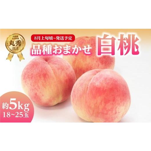 ふるさと納税 もも 山形県 大江町 [先行受付]品種おまかせ 白桃 約5kg 丸秀以上 (18〜25玉) 2026年8月上旬頃〜9月中旬発送予定 001-101