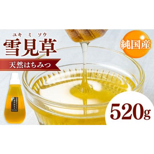 ふるさと納税 加工品等 はちみつ 千葉県 君津市 国産 雪見草はちみつ 520g | 養蜂家 齊藤兄弟 Bee concierge 雪見草 ゆきみそう ユキミソウ 雪 ビーコンシェル…