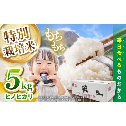 ふるさと納税 米 ヒノヒカリ 長崎県 南島原市 令和7年産新米 特別栽培米 ヒノヒカリ 5kg / 米 精米 白米 ごはん ご飯 ひのひかり / 南島原市 / 農家民宿 …