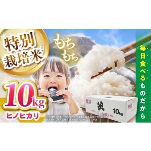ふるさと納税 米 ヒノヒカリ 長崎県 南島原市 令和7年産新米 特別栽培米 ヒノヒカリ 10kg (5kg×2袋) / 米 精米 白米 ごはん ご飯 ひのひかり / 南島原市 …