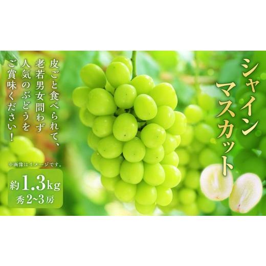 ふるさと納税 ぶどう マスカット 山形県 白鷹町 山形おきたま産シャインマスカット(秀) 2〜3房 (約1.3kg) シャインマスカット マスカット 葡萄 フルーツ …
