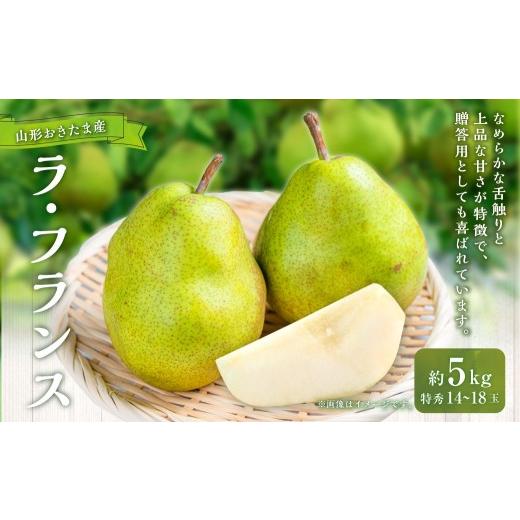 ふるさと納税 梨 山形県 白鷹町 山形おきたま産 ラ・フランス(特秀) 14玉〜18玉 (約5kg) ラフランス 洋梨 梨 フルーツ 果物 果実 常温 山形県 白鷹町 2026…